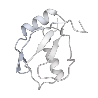 7109_6bk8_r_v1-3
S. cerevisiae spliceosomal post-catalytic P complex