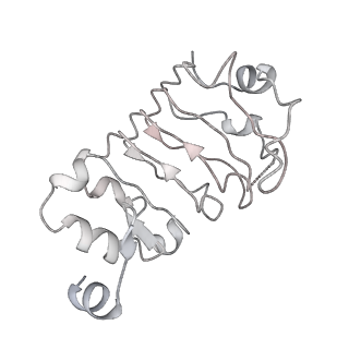 7109_6bk8_s_v1-3
S. cerevisiae spliceosomal post-catalytic P complex