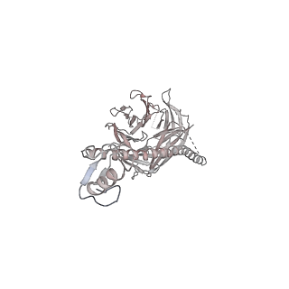 7109_6bk8_u_v1-3
S. cerevisiae spliceosomal post-catalytic P complex
