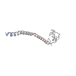 7109_6bk8_v_v1-3
S. cerevisiae spliceosomal post-catalytic P complex