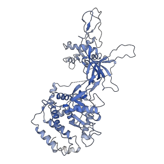 9400_5bk4_2_v1-5
Cryo-EM structure of Mcm2-7 double hexamer on dsDNA