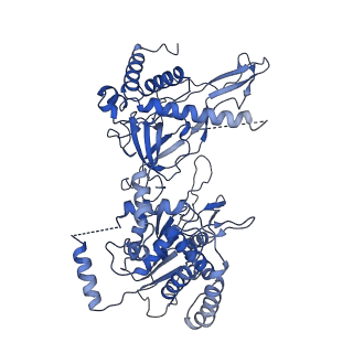 9400_5bk4_3_v1-5
Cryo-EM structure of Mcm2-7 double hexamer on dsDNA