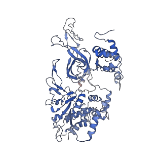 9400_5bk4_4_v1-5
Cryo-EM structure of Mcm2-7 double hexamer on dsDNA