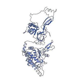 9400_5bk4_5_v1-5
Cryo-EM structure of Mcm2-7 double hexamer on dsDNA