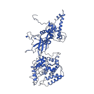 9400_5bk4_7_v1-5
Cryo-EM structure of Mcm2-7 double hexamer on dsDNA