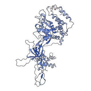 9400_5bk4_A_v1-5
Cryo-EM structure of Mcm2-7 double hexamer on dsDNA