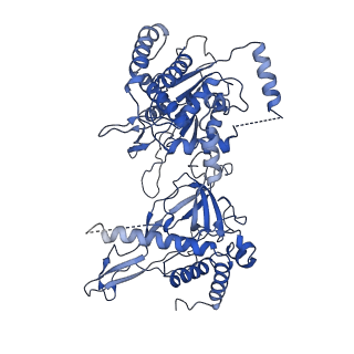 9400_5bk4_B_v1-5
Cryo-EM structure of Mcm2-7 double hexamer on dsDNA
