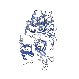 9400_5bk4_C_v1-5
Cryo-EM structure of Mcm2-7 double hexamer on dsDNA