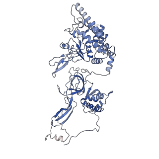 9400_5bk4_D_v1-5
Cryo-EM structure of Mcm2-7 double hexamer on dsDNA