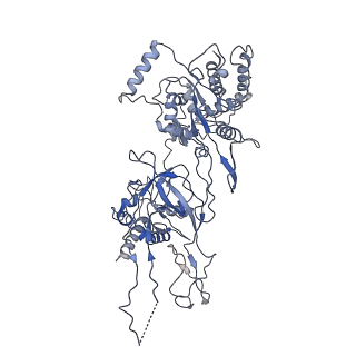 9400_5bk4_E_v1-5
Cryo-EM structure of Mcm2-7 double hexamer on dsDNA