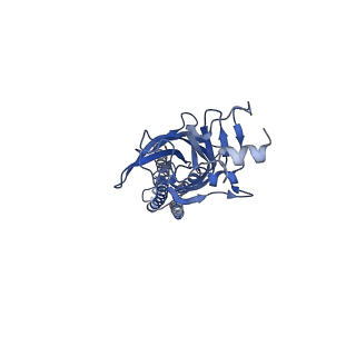 9403_5bkf_A_v1-0
Cyro-EM structure of human Glycine Receptor alpha2-beta heteromer, Glycine bound, desensitized state