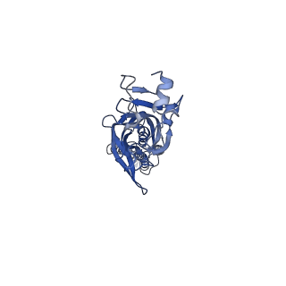 9403_5bkf_B_v1-0
Cyro-EM structure of human Glycine Receptor alpha2-beta heteromer, Glycine bound, desensitized state