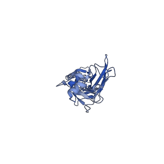 9403_5bkf_D_v1-0
Cyro-EM structure of human Glycine Receptor alpha2-beta heteromer, Glycine bound, desensitized state