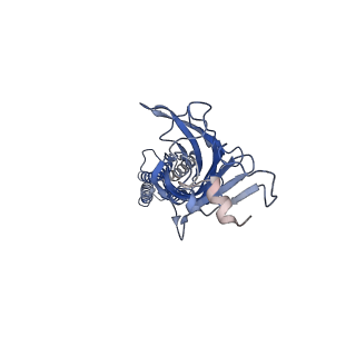 9403_5bkf_E_v1-0
Cyro-EM structure of human Glycine Receptor alpha2-beta heteromer, Glycine bound, desensitized state
