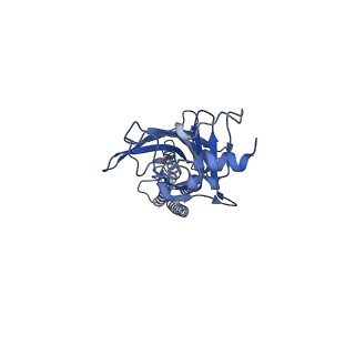 9404_5bkg_A_v1-0
Cyro-EM structure of human Glycine Receptor alpha2-beta heteromer, glycine bound, (semi)open state