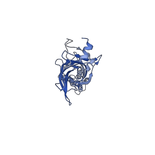 9404_5bkg_B_v1-0
Cyro-EM structure of human Glycine Receptor alpha2-beta heteromer, glycine bound, (semi)open state