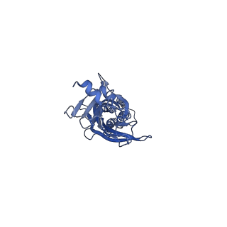 9404_5bkg_C_v1-0
Cyro-EM structure of human Glycine Receptor alpha2-beta heteromer, glycine bound, (semi)open state