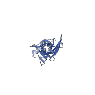 9404_5bkg_D_v1-0
Cyro-EM structure of human Glycine Receptor alpha2-beta heteromer, glycine bound, (semi)open state