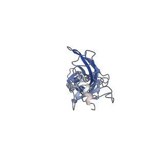 9404_5bkg_E_v1-0
Cyro-EM structure of human Glycine Receptor alpha2-beta heteromer, glycine bound, (semi)open state