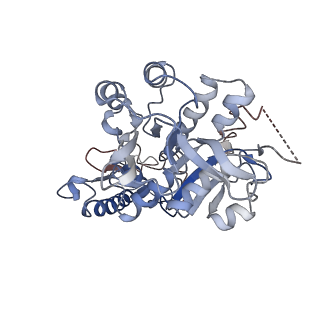16101_8bl4_C_v1-2
Cryo-EM structure of a contractile injection system in Streptomyces coelicolor, the sheath-tube module in extended state.
