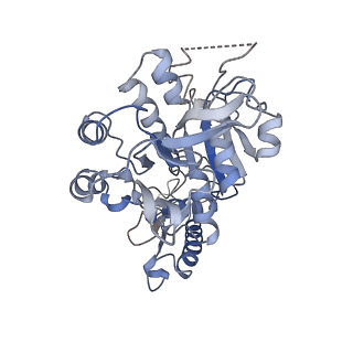 16101_8bl4_D_v1-2
Cryo-EM structure of a contractile injection system in Streptomyces coelicolor, the sheath-tube module in extended state.