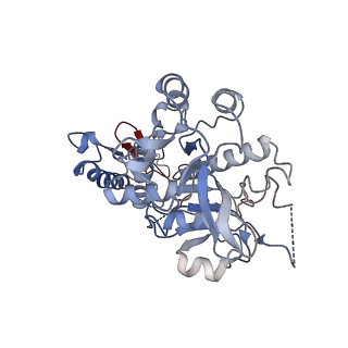 16101_8bl4_H_v1-2
Cryo-EM structure of a contractile injection system in Streptomyces coelicolor, the sheath-tube module in extended state.
