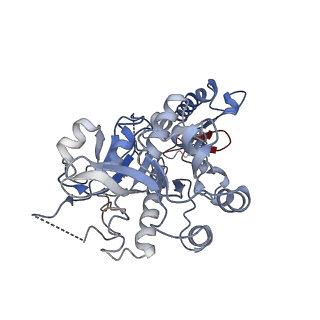 16101_8bl4_L_v1-2
Cryo-EM structure of a contractile injection system in Streptomyces coelicolor, the sheath-tube module in extended state.