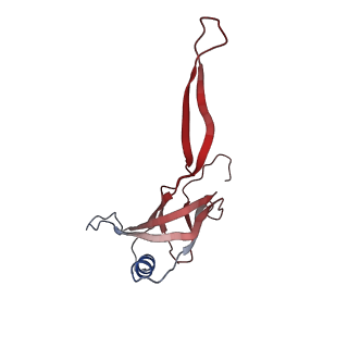 16101_8bl4_a_v1-2
Cryo-EM structure of a contractile injection system in Streptomyces coelicolor, the sheath-tube module in extended state.