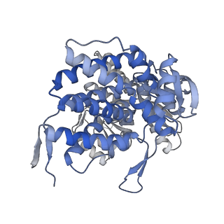 16102_8bl7_B_v1-2
Structure of GroEL-nucleotide complex in ADP-like conformation plunged 13 ms after mixing with ATP
