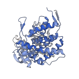 16102_8bl7_F_v1-2
Structure of GroEL-nucleotide complex in ADP-like conformation plunged 13 ms after mixing with ATP