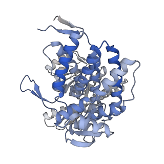 16102_8bl7_G_v1-2
Structure of GroEL-nucleotide complex in ADP-like conformation plunged 13 ms after mixing with ATP