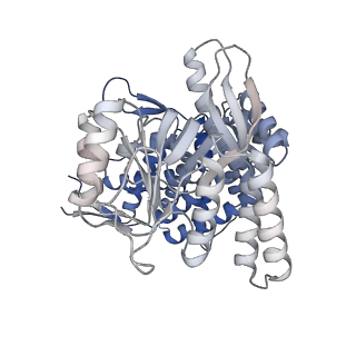 16102_8bl7_H_v1-2
Structure of GroEL-nucleotide complex in ADP-like conformation plunged 13 ms after mixing with ATP