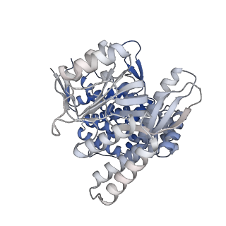 16102_8bl7_I_v1-2
Structure of GroEL-nucleotide complex in ADP-like conformation plunged 13 ms after mixing with ATP