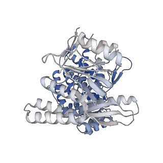 16102_8bl7_J_v1-2
Structure of GroEL-nucleotide complex in ADP-like conformation plunged 13 ms after mixing with ATP