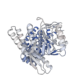 16102_8bl7_K_v1-2
Structure of GroEL-nucleotide complex in ADP-like conformation plunged 13 ms after mixing with ATP