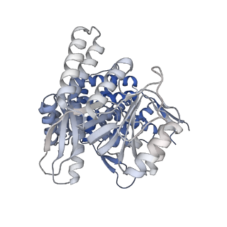 16102_8bl7_L_v1-2
Structure of GroEL-nucleotide complex in ADP-like conformation plunged 13 ms after mixing with ATP