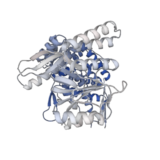 16102_8bl7_M_v1-2
Structure of GroEL-nucleotide complex in ADP-like conformation plunged 13 ms after mixing with ATP