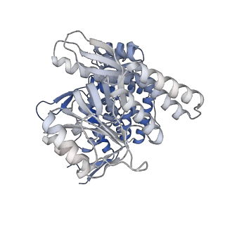 16102_8bl7_N_v1-2
Structure of GroEL-nucleotide complex in ADP-like conformation plunged 13 ms after mixing with ATP