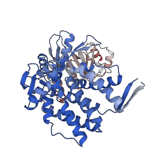 16106_8blc_A_v1-2
Structure of the GroEL-ATP complex plunge-frozen 50 ms after mixing with ATP
