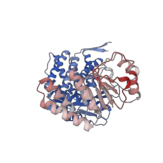 16106_8blc_B_v1-2
Structure of the GroEL-ATP complex plunge-frozen 50 ms after mixing with ATP