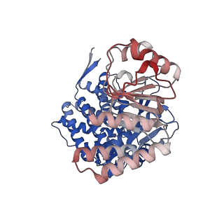 16106_8blc_D_v1-2
Structure of the GroEL-ATP complex plunge-frozen 50 ms after mixing with ATP