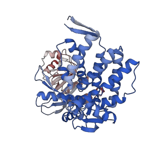 16106_8blc_E_v1-2
Structure of the GroEL-ATP complex plunge-frozen 50 ms after mixing with ATP
