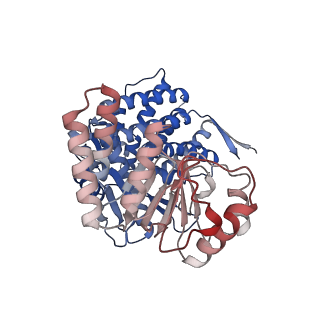 16106_8blc_G_v1-2
Structure of the GroEL-ATP complex plunge-frozen 50 ms after mixing with ATP