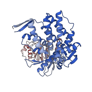 16106_8blc_H_v1-2
Structure of the GroEL-ATP complex plunge-frozen 50 ms after mixing with ATP