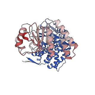 16106_8blc_I_v1-2
Structure of the GroEL-ATP complex plunge-frozen 50 ms after mixing with ATP