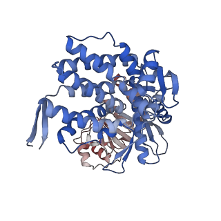16106_8blc_J_v1-2
Structure of the GroEL-ATP complex plunge-frozen 50 ms after mixing with ATP