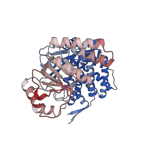 16106_8blc_K_v1-2
Structure of the GroEL-ATP complex plunge-frozen 50 ms after mixing with ATP