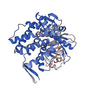 16106_8blc_L_v1-2
Structure of the GroEL-ATP complex plunge-frozen 50 ms after mixing with ATP