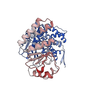 16106_8blc_M_v1-2
Structure of the GroEL-ATP complex plunge-frozen 50 ms after mixing with ATP