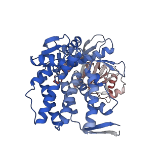 16106_8blc_N_v1-2
Structure of the GroEL-ATP complex plunge-frozen 50 ms after mixing with ATP
